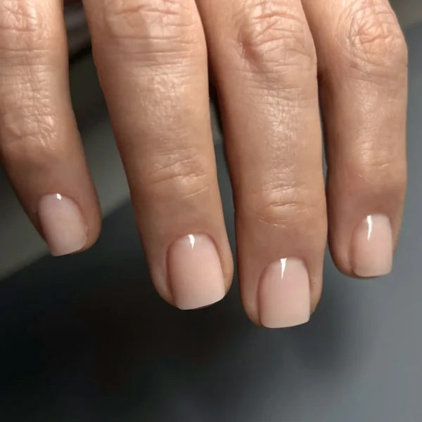 Галерея работ учеников