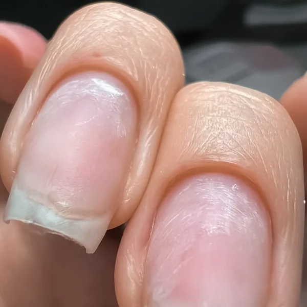 Галерея работ учеников