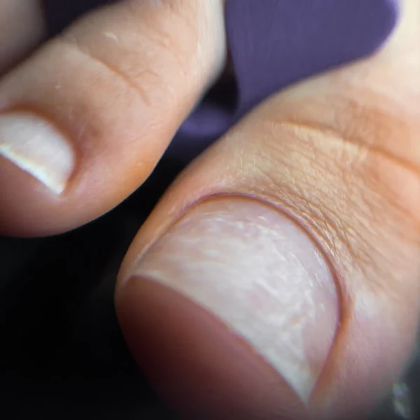 Галерея работ учеников