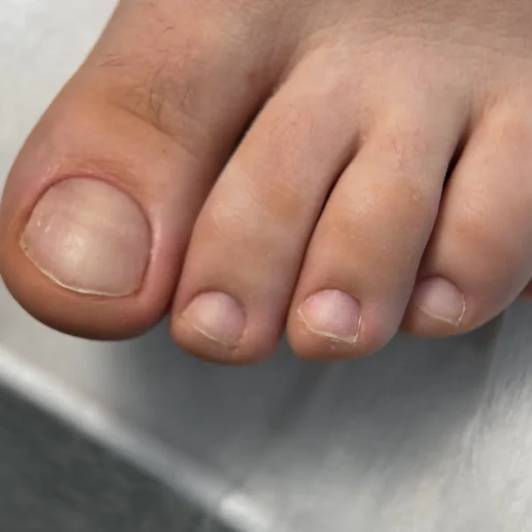 Галерея работ учеников