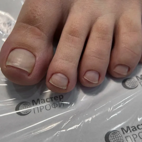 Галерея работ учеников