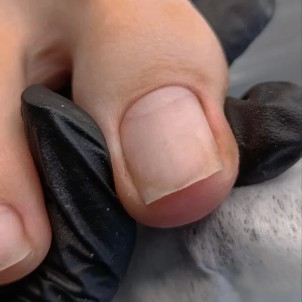 Галерея работ учеников